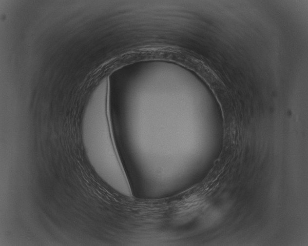 X0000087510821200704270751