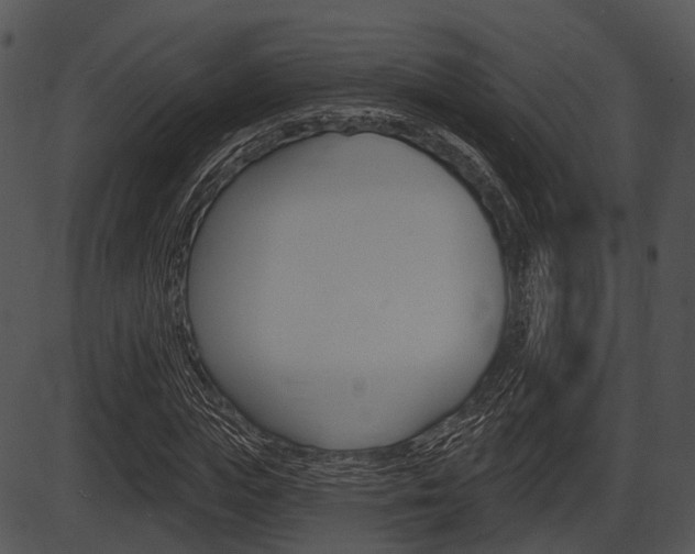 X0000087510823200704270751