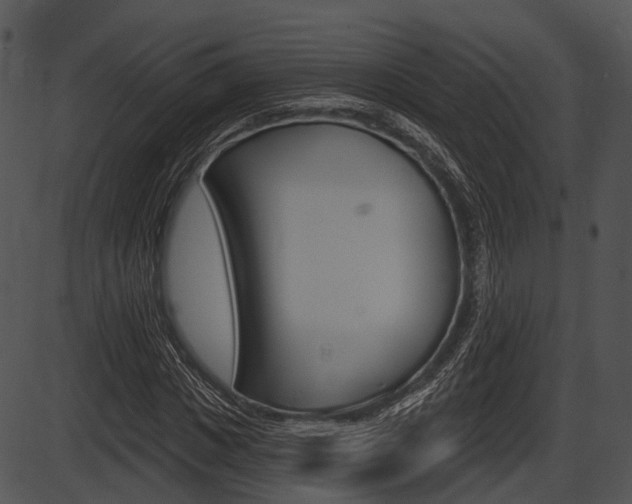 X0000087510825200704270751
