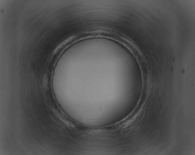 X0000087510826200704270751