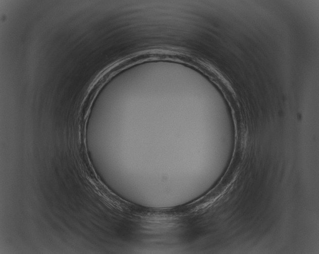X0000087510829200704270751