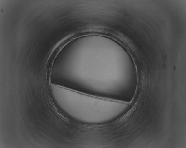 X0000087510830200704270751