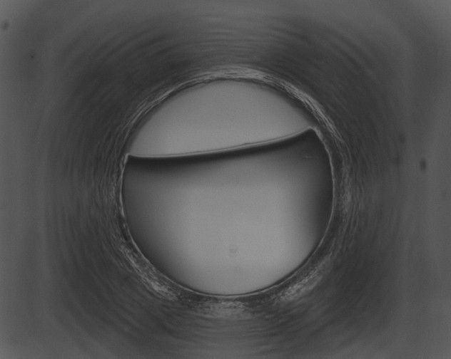 X0000087510833200704270751