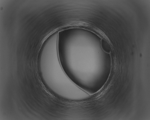 X0000087510834200704270751