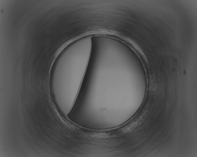 X0000087510837200704270752