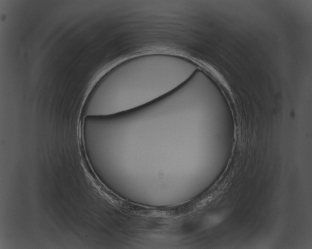 X0000087510839200704270752