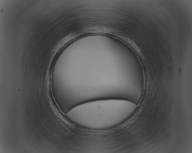 X0000087510840200704270752