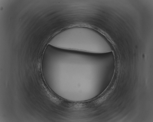 X0000087510841200704270752
