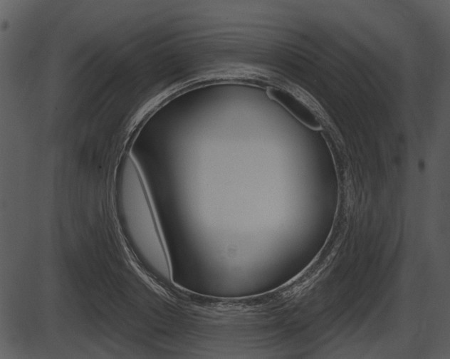 X0000087510842200704270752