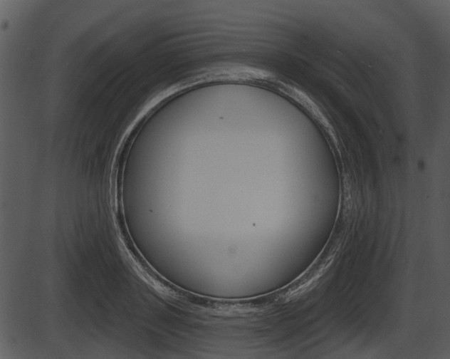 X0000087510843200704270752