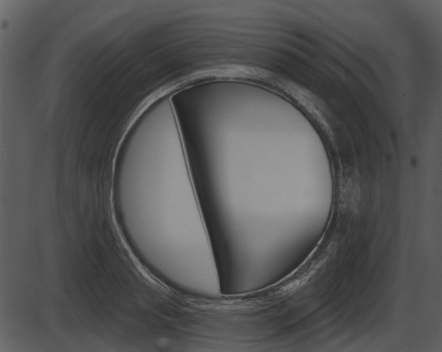 X0000087510845200704270752