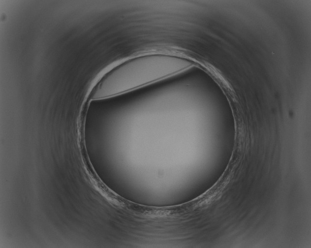 X0000087510846200704270752