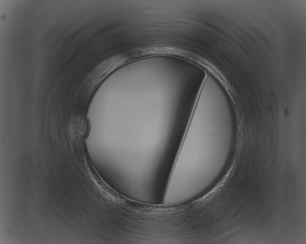 X0000087510849200704270752