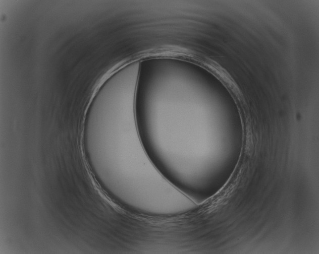 X0000087510850200704270752