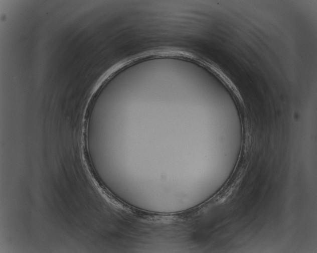X0000087510853200704270752