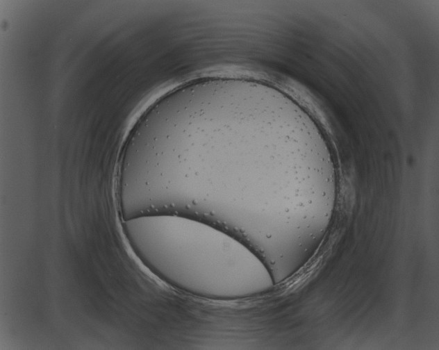 X0000087510855200704270752