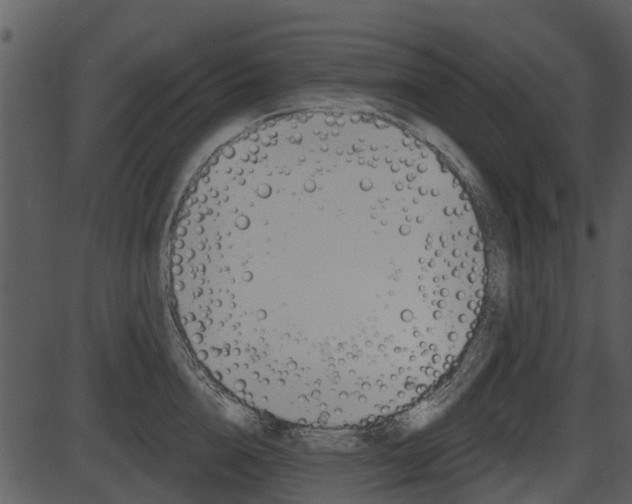 X0000087510856200704270752