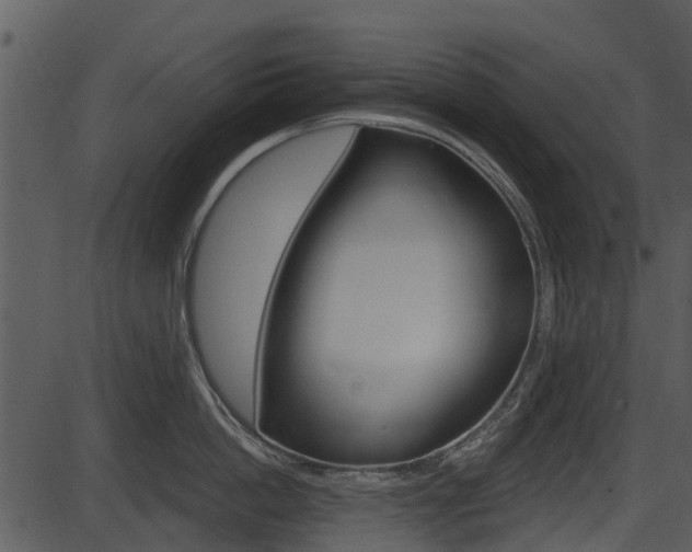 X0000087510862200704270752