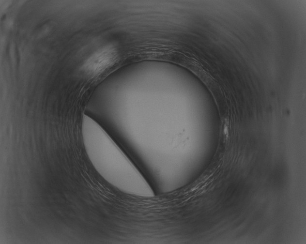 X0000087510867200704270751
