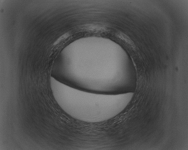 X0000087510869200704270751