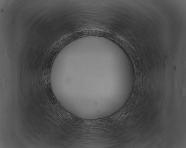 X0000087510870200704270751