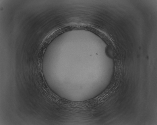 X0000087510871200704270751