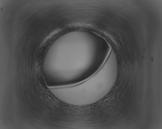 X0000087510872200704270751