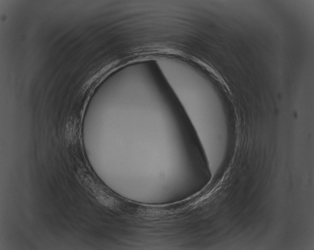 X0000087510873200704270751