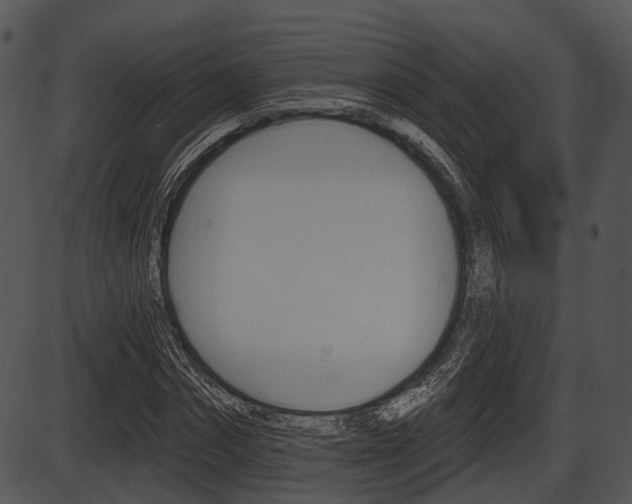 X0000087510874200704270751