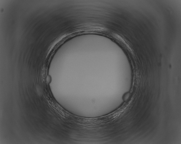 X0000087510875200704270751