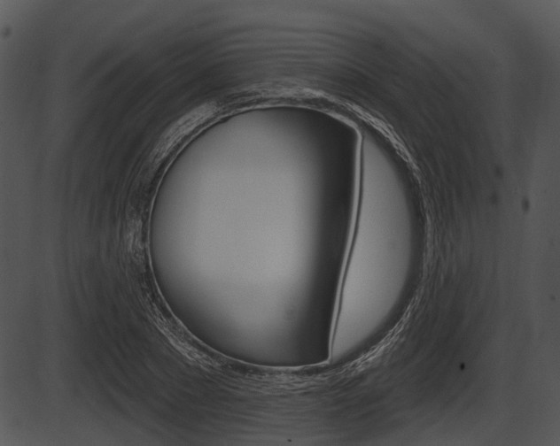 X0000087510881200704270751
