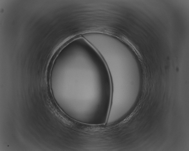 X0000087510884200704270751