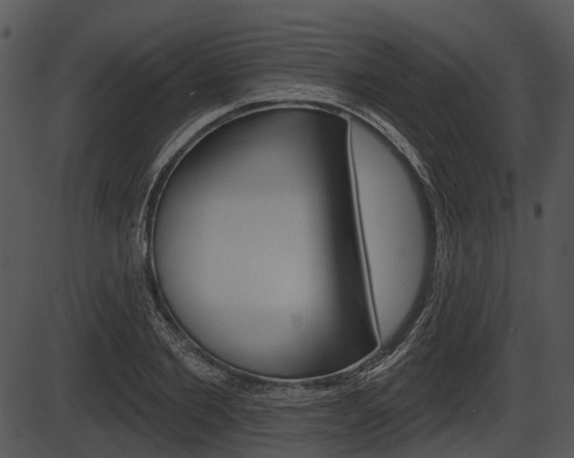 X0000087510885200704270751