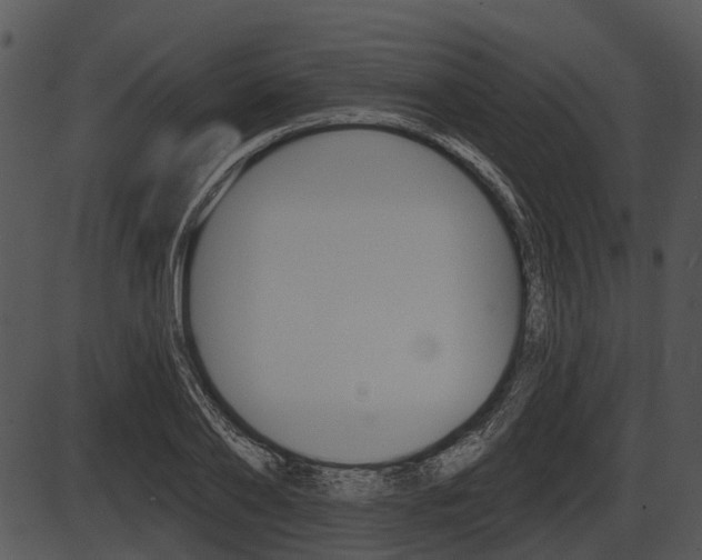 X0000087510886200704270751
