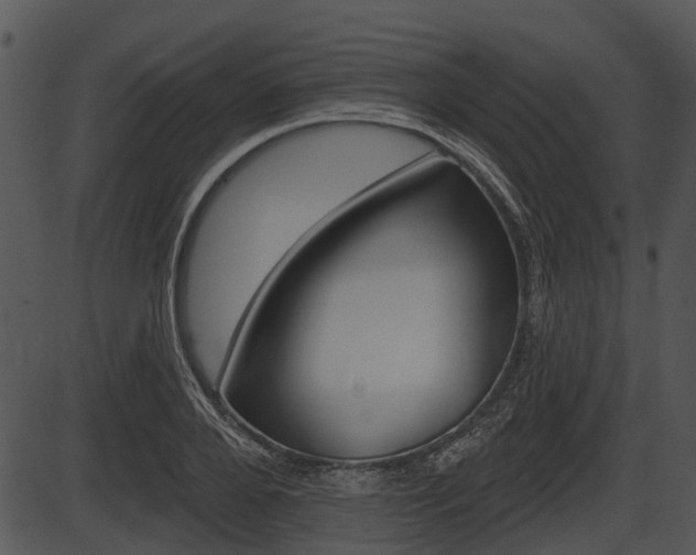 X0000087510888200704270751