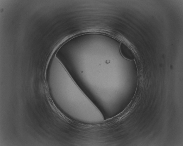 X0000087510892200704270751