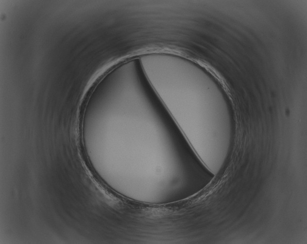 X0000087510894200704270751