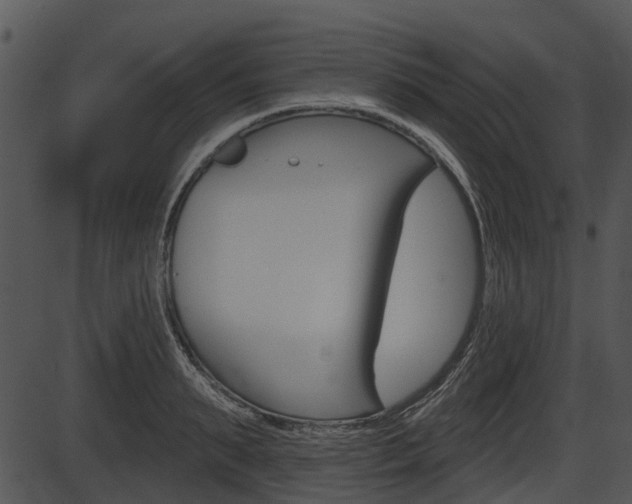 X0000087510895200704270751
