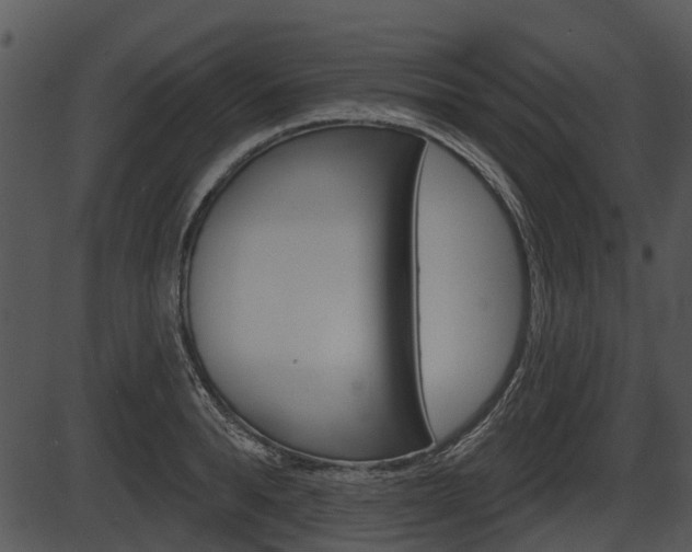 X0000087510896200704270751