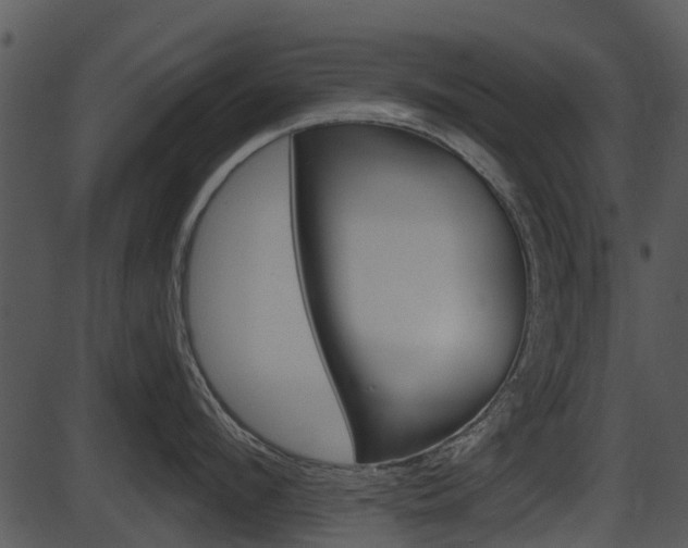 X0000087510912200704270750