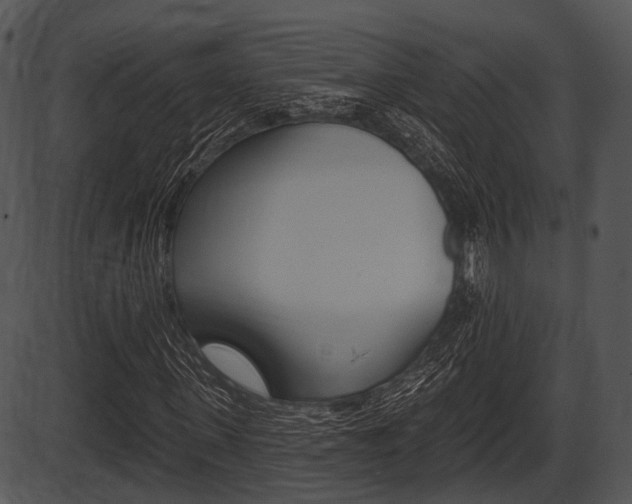 X0000087510915200704270750