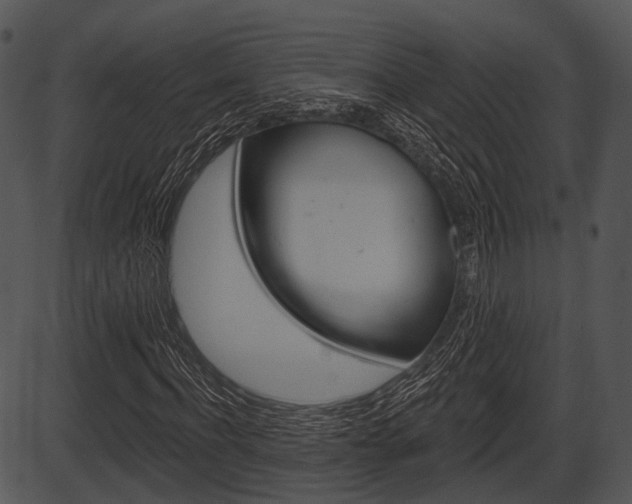 X0000087510916200704270750