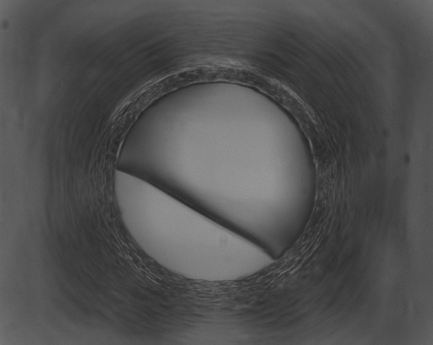 X0000087510919200704270750