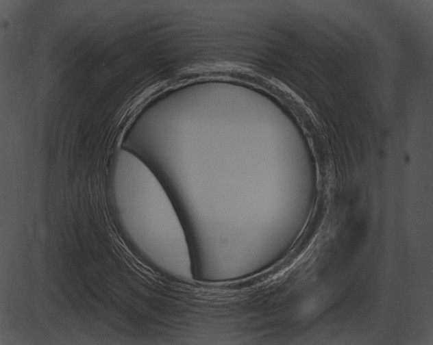 X0000087510921200704270750