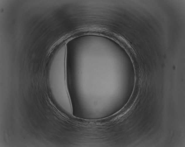 X0000087510922200704270750