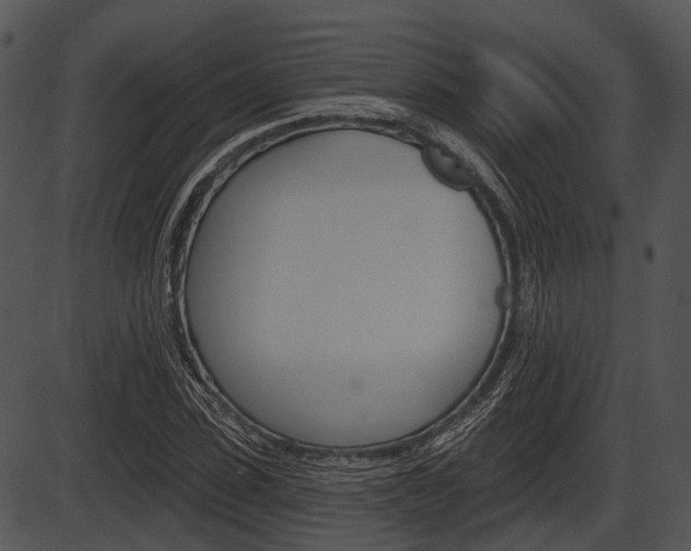 X0000087510923200704270750