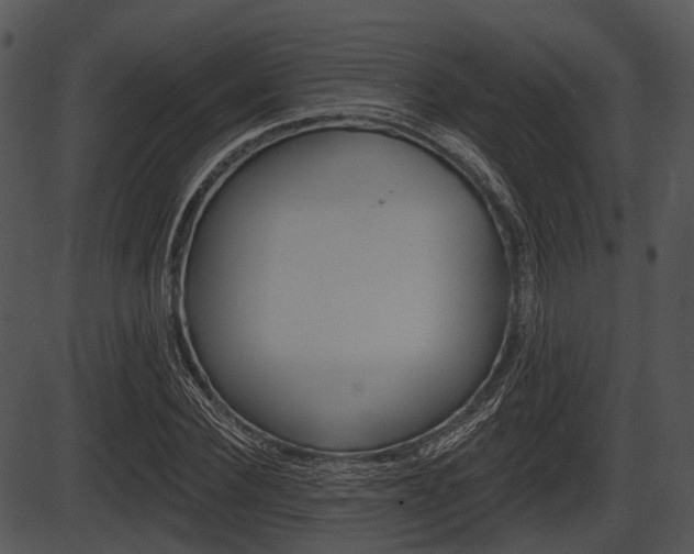 X0000087510924200704270750