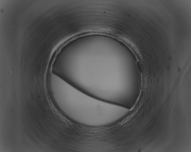 X0000087510928200704270750