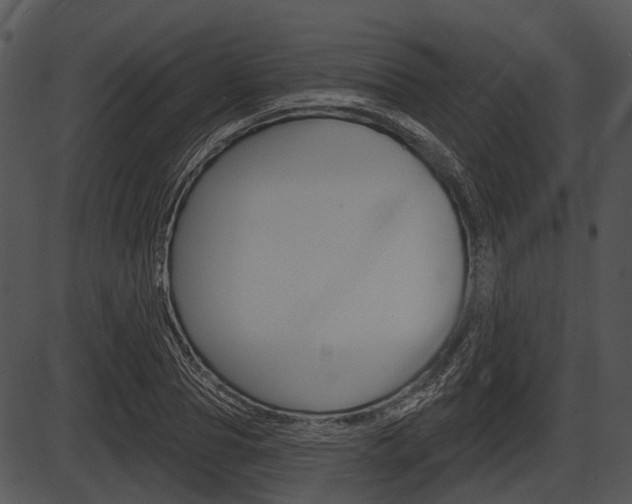 X0000087510929200704270750
