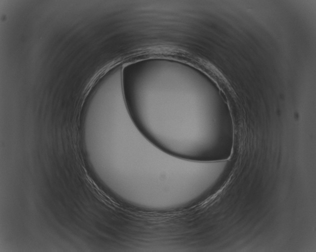 X0000087510930200704270750
